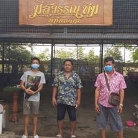3 กะรัต
