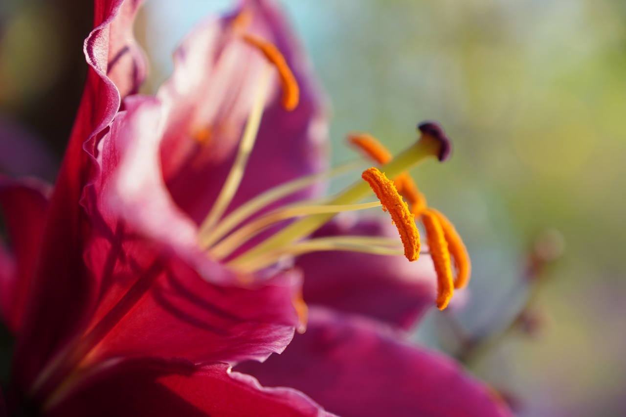 E接環首顆APS-C鏡皇終於來到，Sony 16-55mm F2.8 G 實測動手玩（NDA至9/18 10:00）