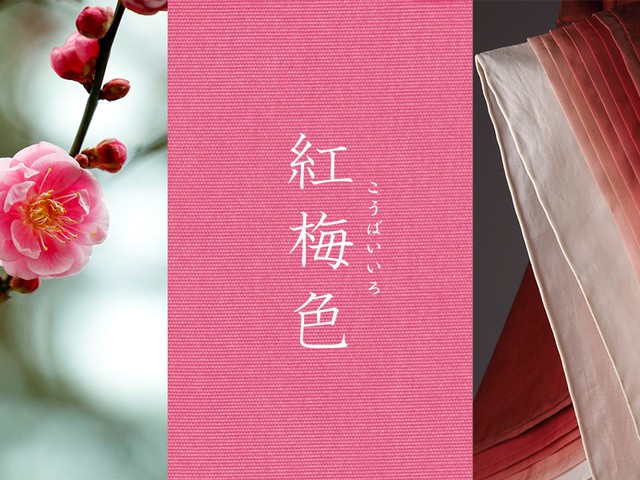 平安貴族も愛した春を告げる花 紅梅色 京都のいろ 如月 第3回 家庭画報 Com