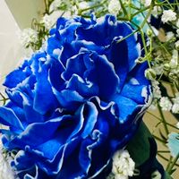 🌸名古屋20代30代40代独身さん雑談部屋🌸