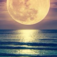 🌕満月のフォーチュン⋆⋆🌙·̩͙‪⋆͛50代、60代雑談Room  恋バナも？⭐𓂃𓈒𓏸︎︎︎︎