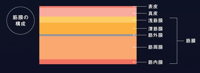 卵の殻で勃起不全を修正します