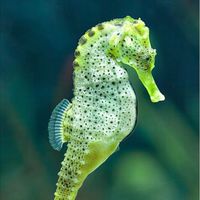 ชลบุรี ระยอง ตะวันออก ตู้ทะเล ปรึกษา แลกเปลี่ยน