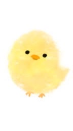 ママ友トーク