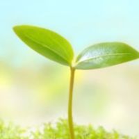 「30」希望の種蒔きプロジェクト