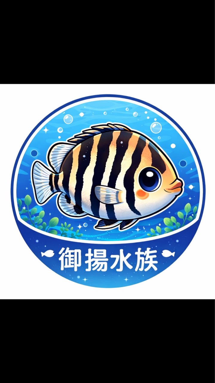 御揚精品水族｜蘇門答臘虎