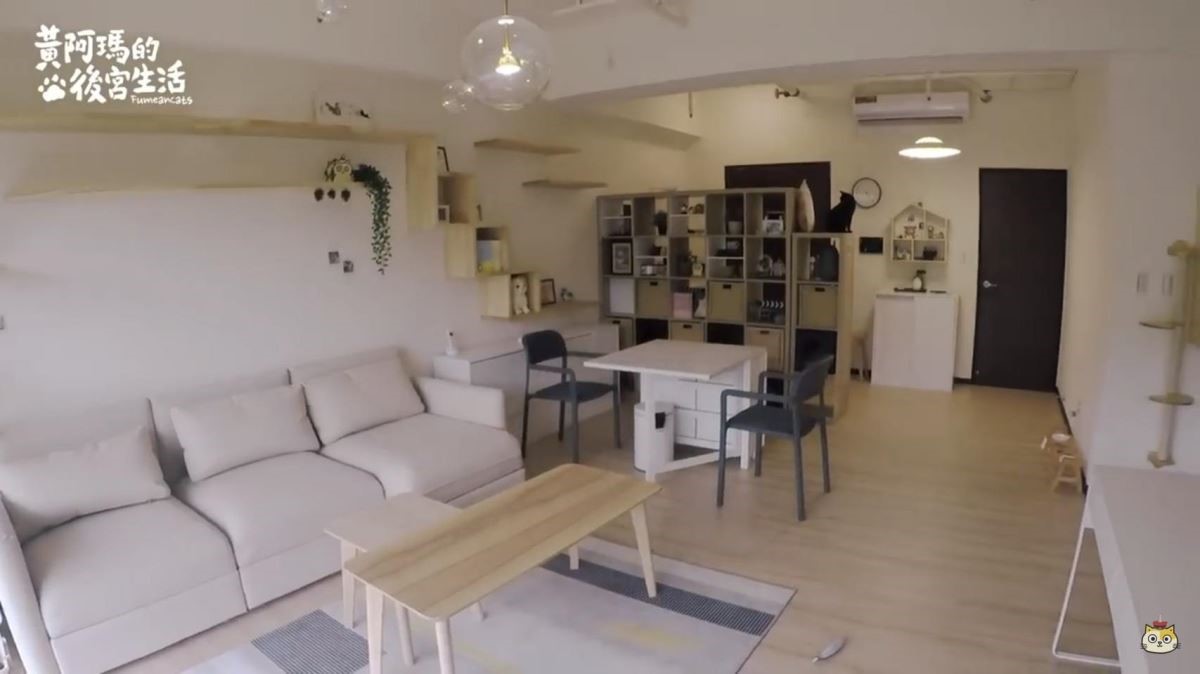 新的後宮花了非常大的心思在貓跳台的設計，並且不再和儲物機能結合，而是純粹給貓咪的生活場域。