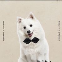 毛孩聯盟*寵物友善討論分享交流社群平台🐱🐶 寵物商城