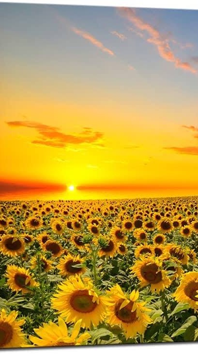 VISI ออนไลน์