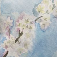 お絵描きと雑談