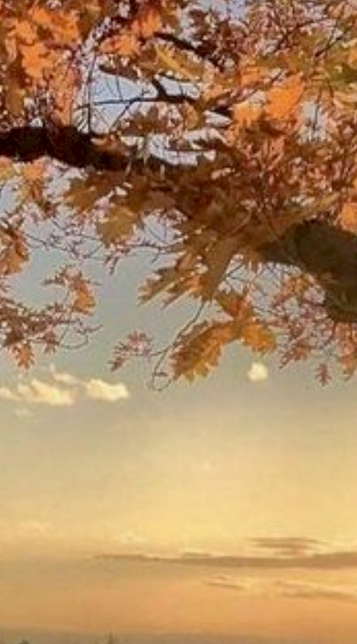 วาดรูปมั้ยยเข้าได้น้าา