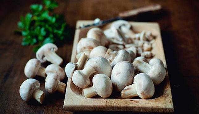 Arti Mimpi Jamur Punya Beragam Makna, Salah Satunya Berkaitan Dengan  Keberkahan Hidup, Kalian Pernah Mengalami? | Grid.id | Line Today