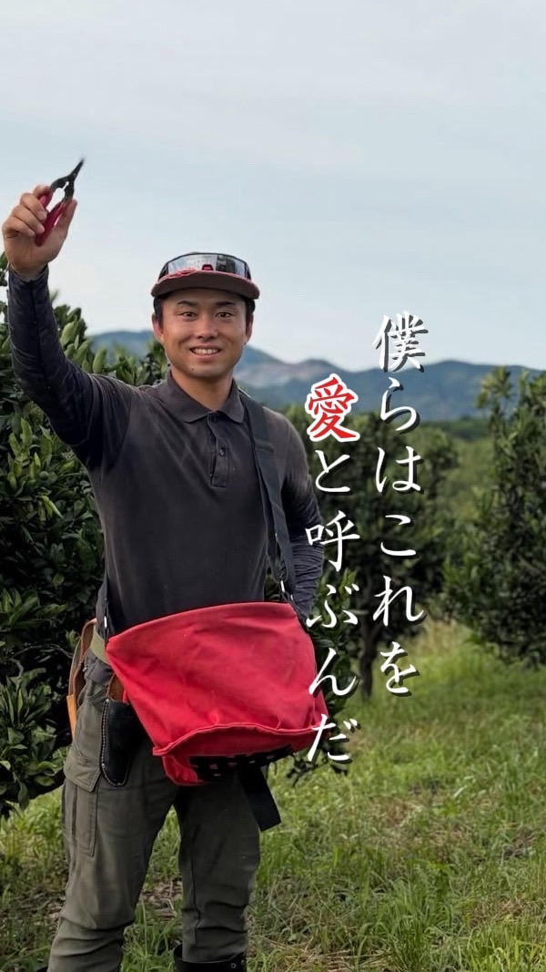 お杉内閣　スーパー大臣🫅