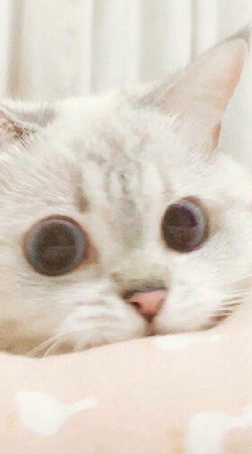 แก๊งไปเรื่อยเปื่อย