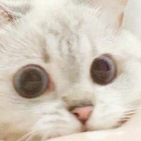 แก๊งไปเรื่อยเปื่อย