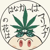 ブロスタはなかっぱの花
