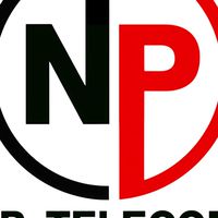 NP ONLINE PARTNER
