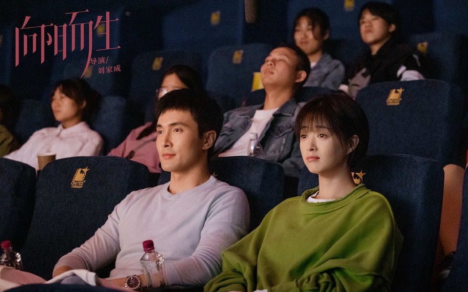 近期陸劇熱度榜TOP 10：蔣欣、高偉光《向陽而生》