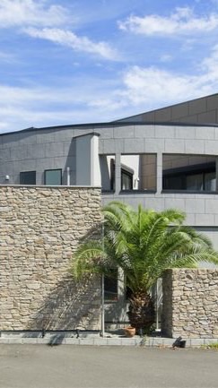 ジャニーズと女優家族