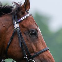 学生競馬好き集まれー！