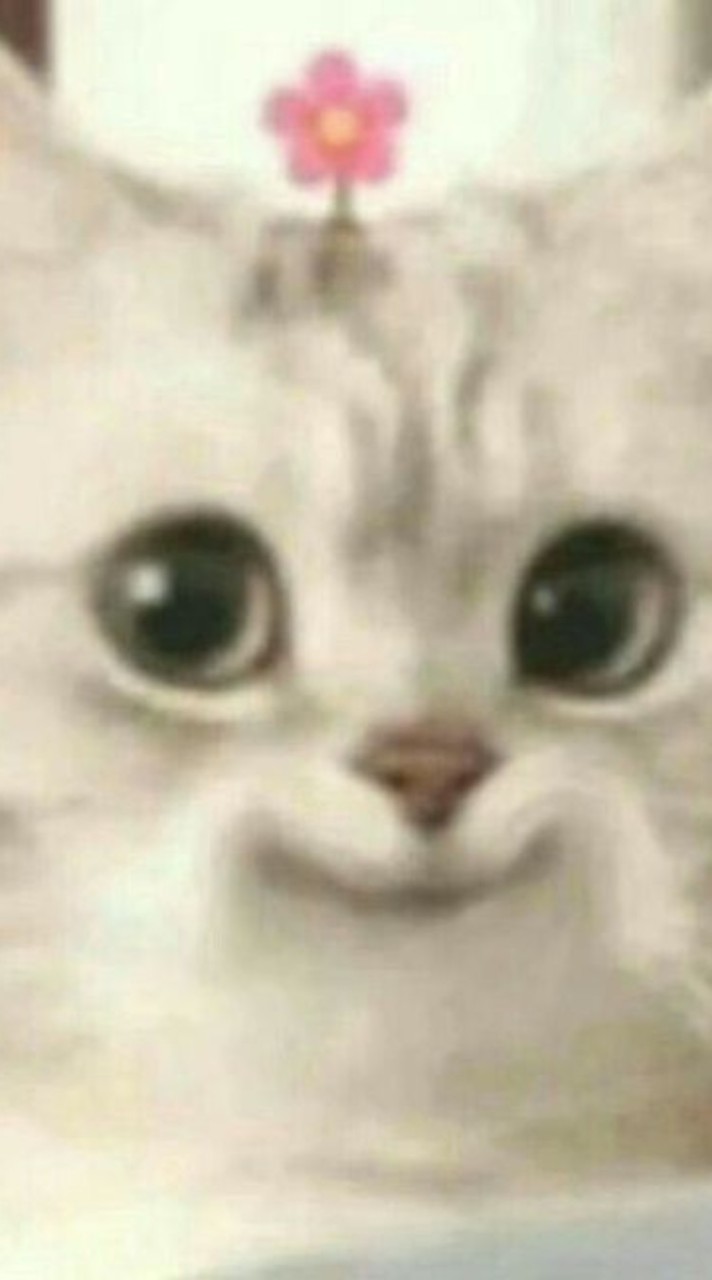 รับวาดรูปฟรี