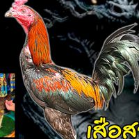 อภิศักดิ์ ฟาร์ม