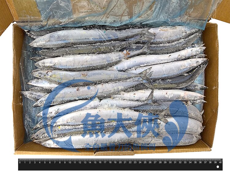 C3【魚大俠】FH045一號級秋刀魚(約70~80尾/件/10kg/件)