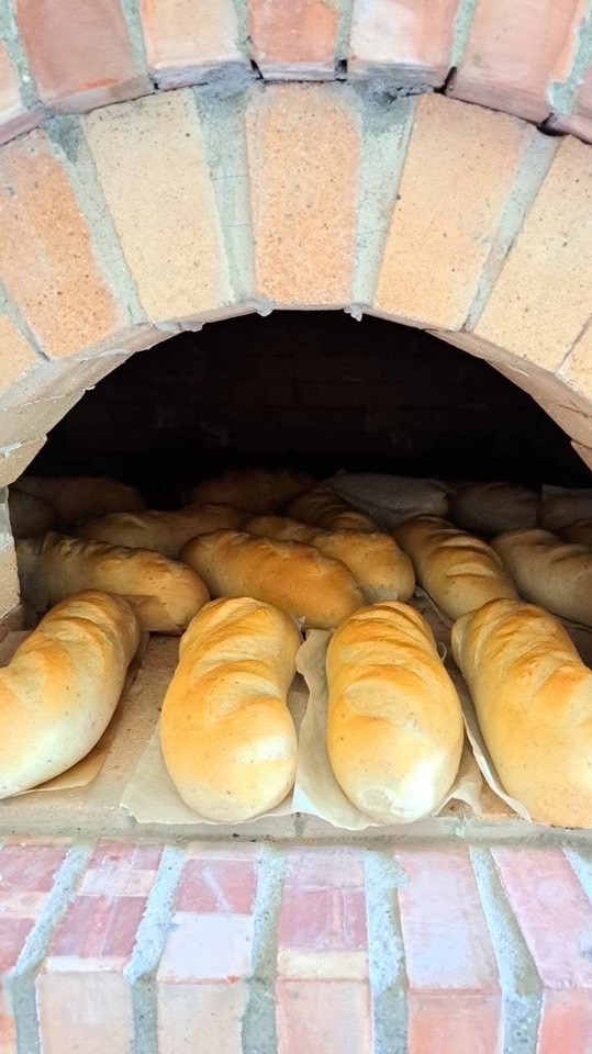 老園丁窯烤麵包-溪頭、鹿谷、斗六（全省）