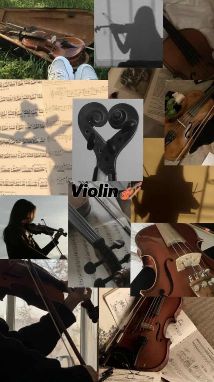 Viviolin