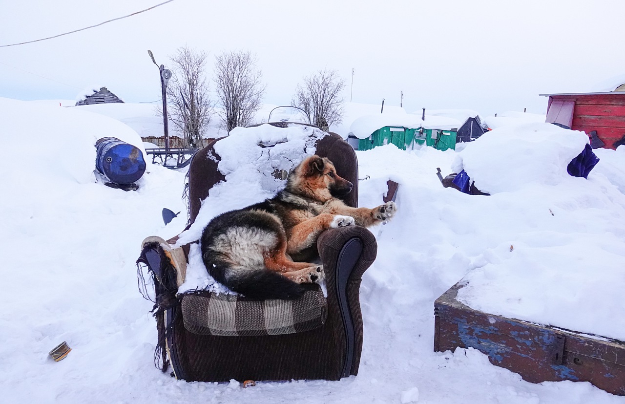 旅遊攝影師貝琪梨的極地遠征！Sony RX10 IV 極光 / 飛羽實戰拍攝分享
