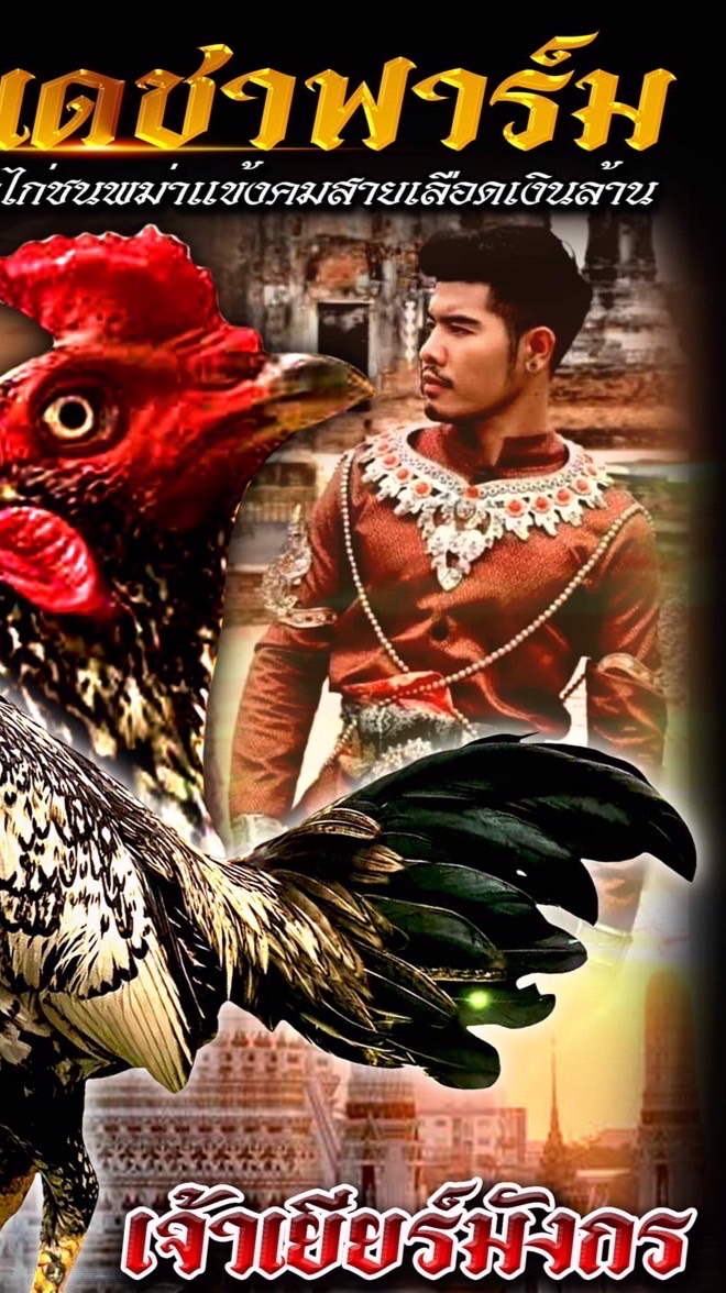 กลุ่มเล่นไก่เฮียตั้มโชคเดชา