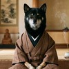 黑柴自律道場|戒色·提升睪固酮