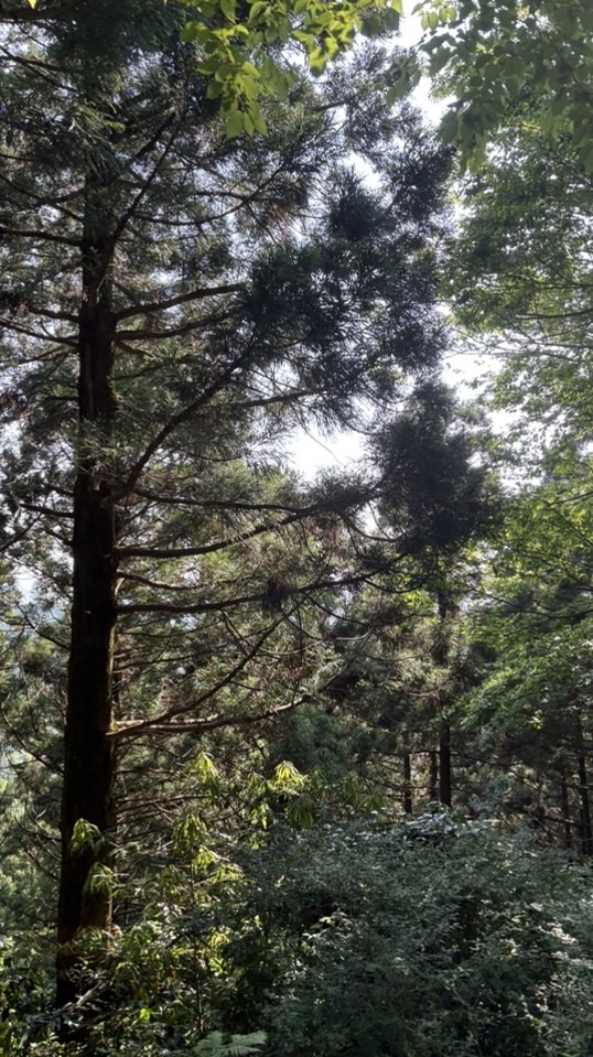 ゲイ・ホモ集まれー！