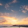 麻布・港南合同企画：一宮の夏⭐︎2024