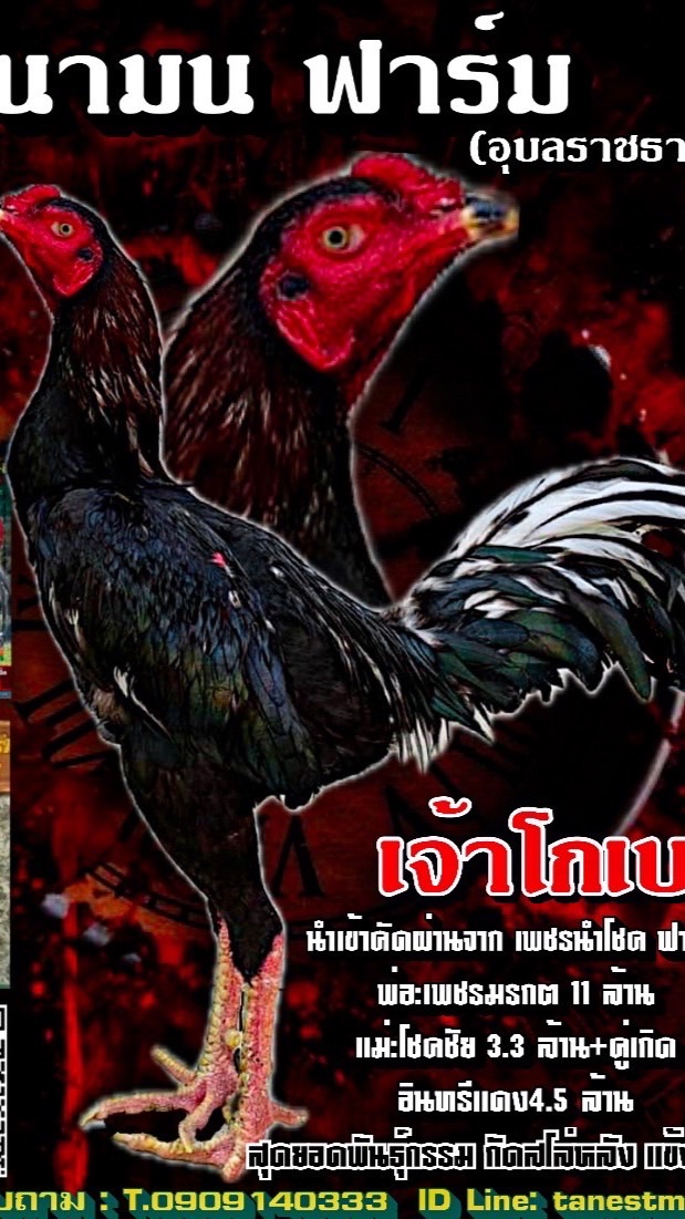 นามนฟาร์ม อุบลราชธานี