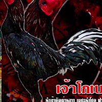 นามนฟาร์ม อุบลราชธานี