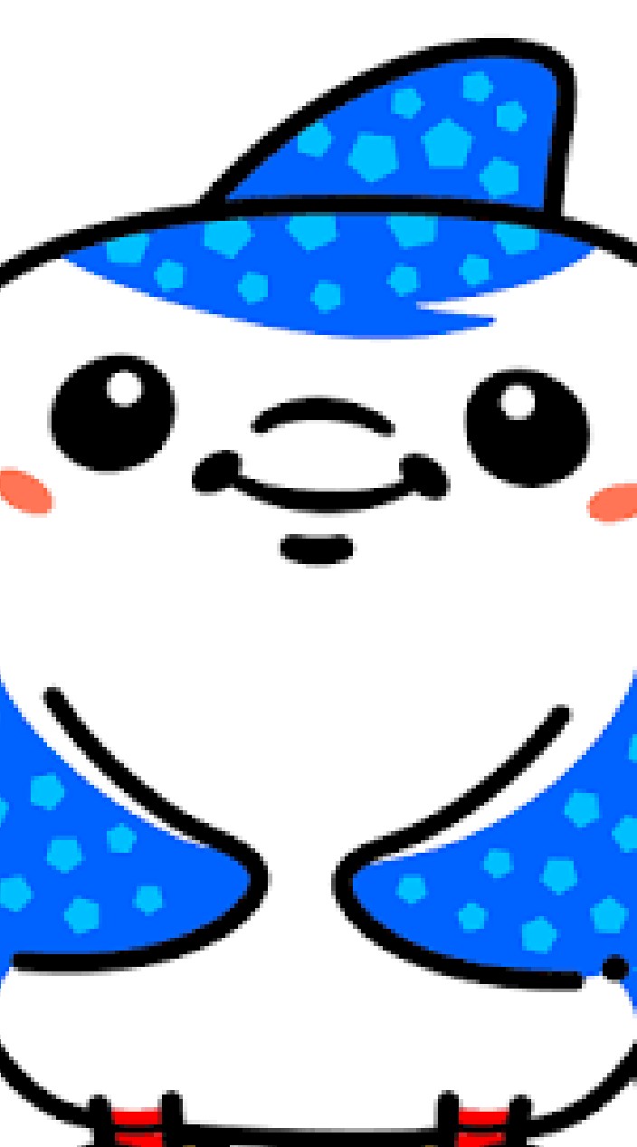 FC琉球応援し隊