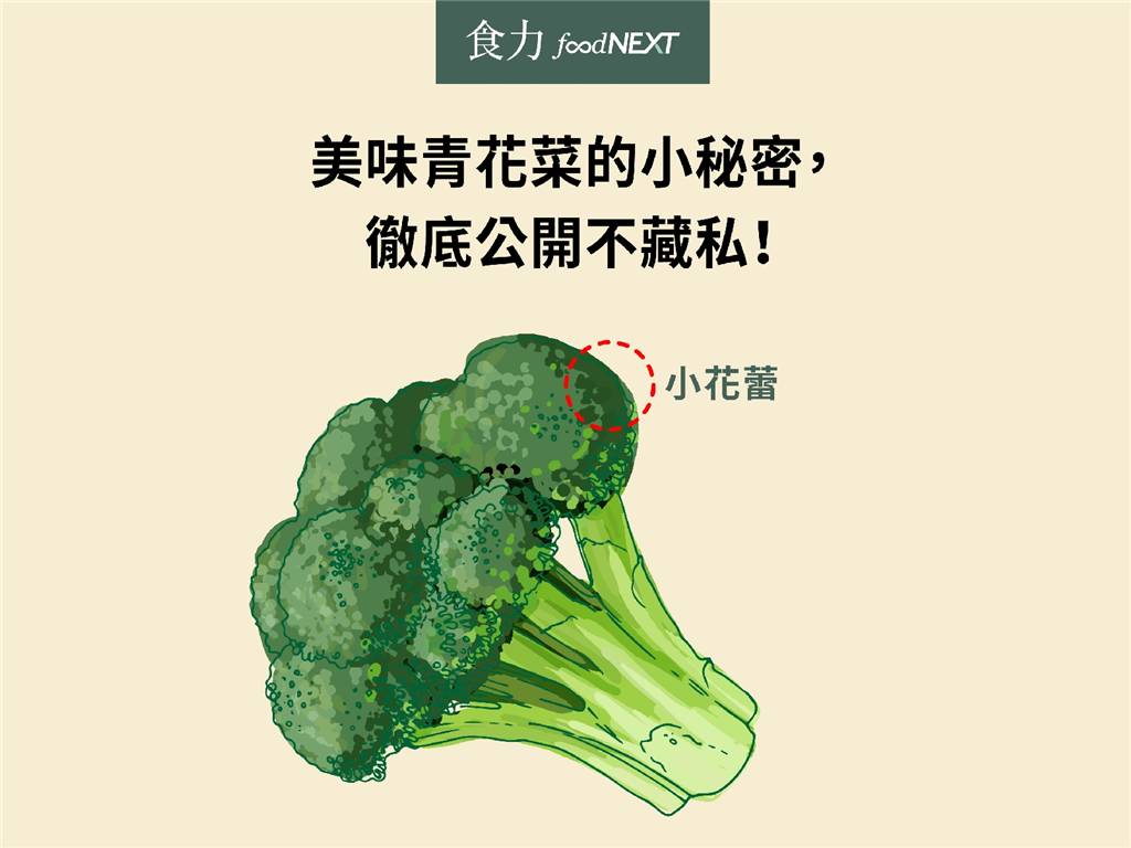 食聞 美味青花菜的小秘密 徹底公開不藏私 食力foodnext Line Today