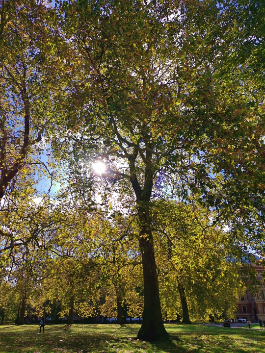 倫敦街頭實拍，HUAWEI Mate 20 Pro 矩陣式排列三鏡頭之超廣角、長焦鏡頭使用心得分享