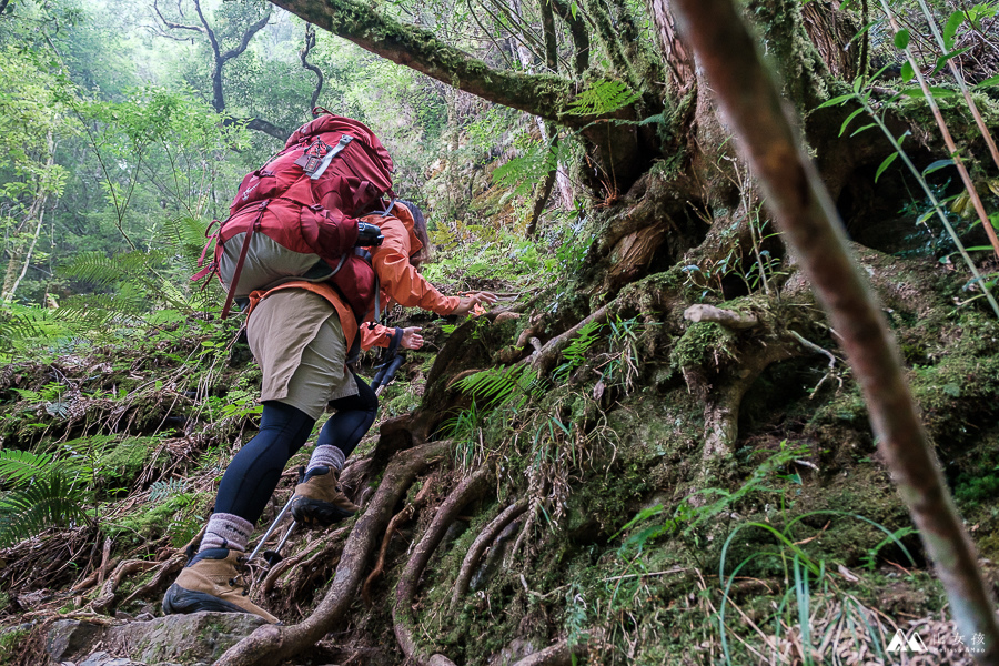 山女孩Melissa_西巒大山-7463.jpg