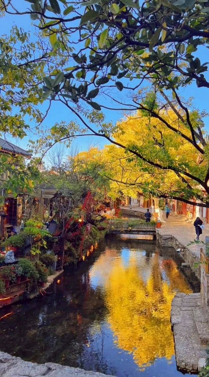 股事同好操作群