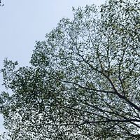 教甄公民/時事討論