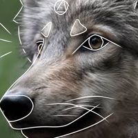 Chat by terrane!=テリアンが集まるチャット！