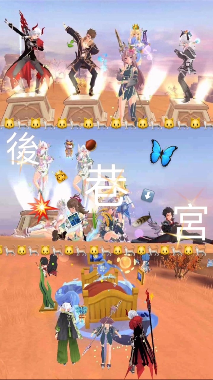 💫後巷貓の家💫💛