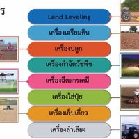 กลุ่มเกษตรกรวิสาหกิจชุมชน