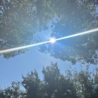 ますっちの占いと子育ての話　　　　for受験生のママパパ