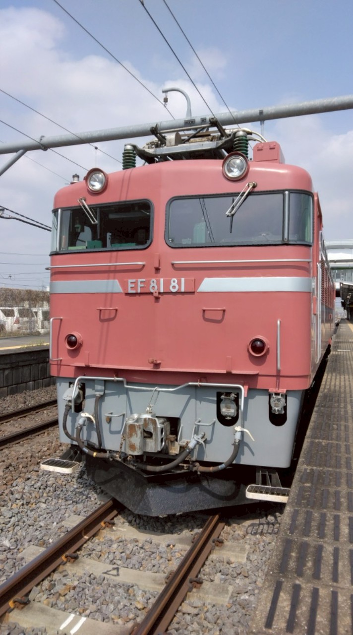 スジ公開