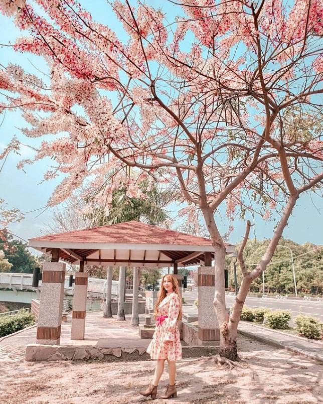 圖片授權：IG @lineva0615