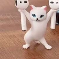 ป๋วงในเคม