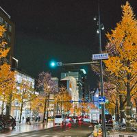🩵🩷12/3-12/8大阪代購🩵🩷